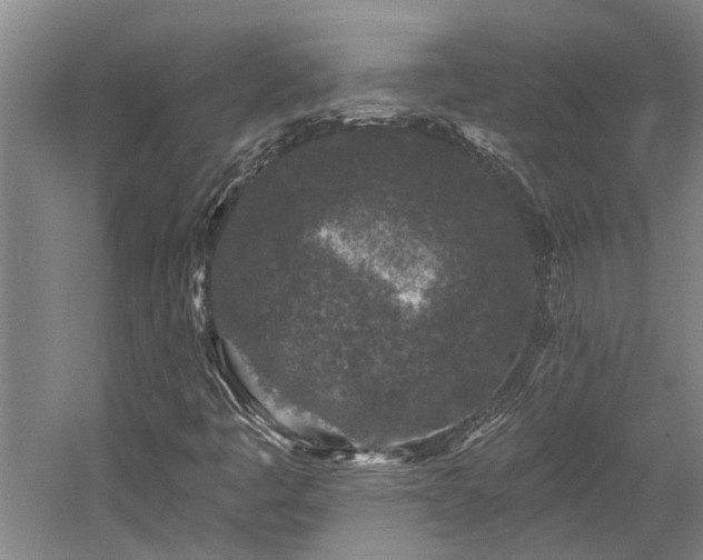 X0000058811445200509301221