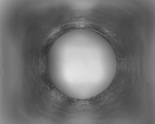 X0000058811446200509301221