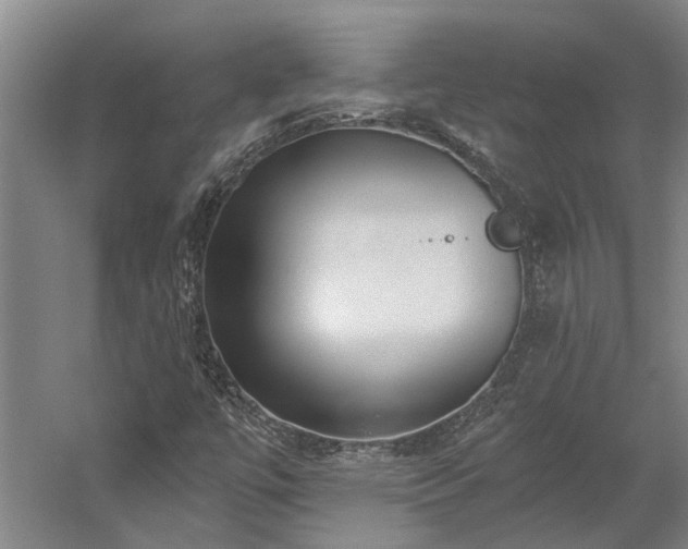 X0000058811447200509301221