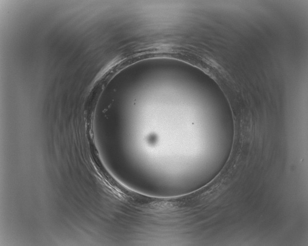 X0000058811450200509301221