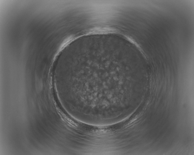 X0000058811459200509301221