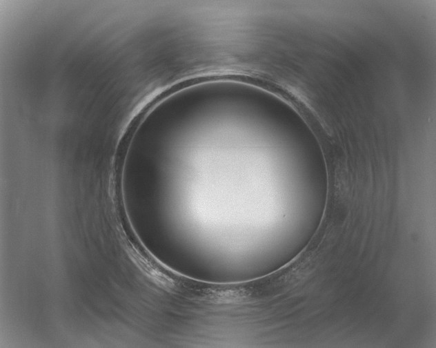 X0000058811460200509301221