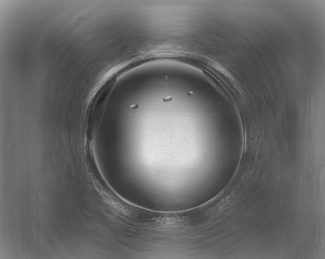 X0000058811461200509301221