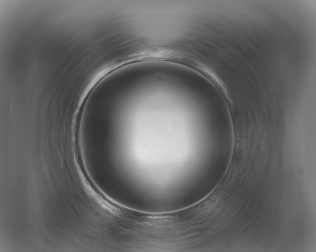 X0000058811483200509301220