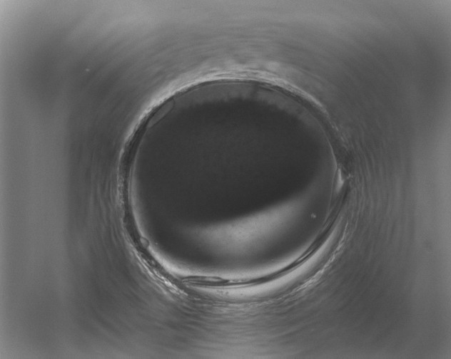 X0000058811506200509301220