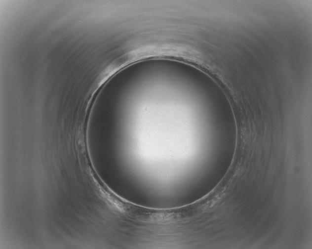 X0000058811521200509301220