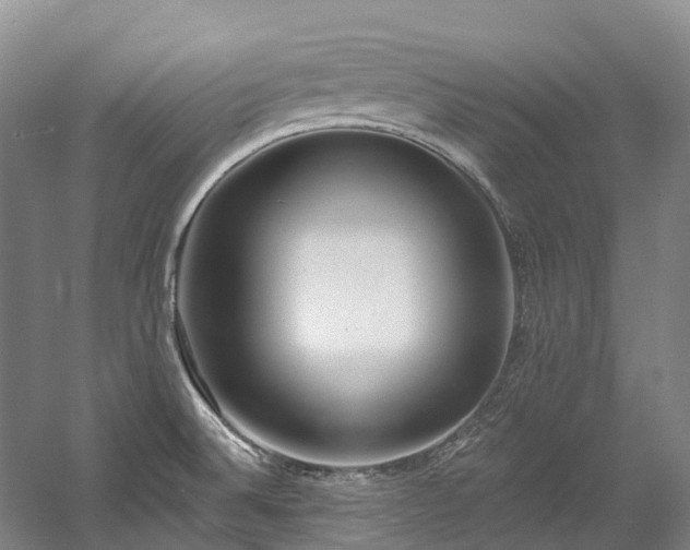 X0000058811524200509301220