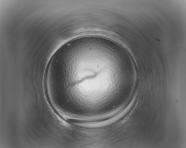 X0000058811533200509301220