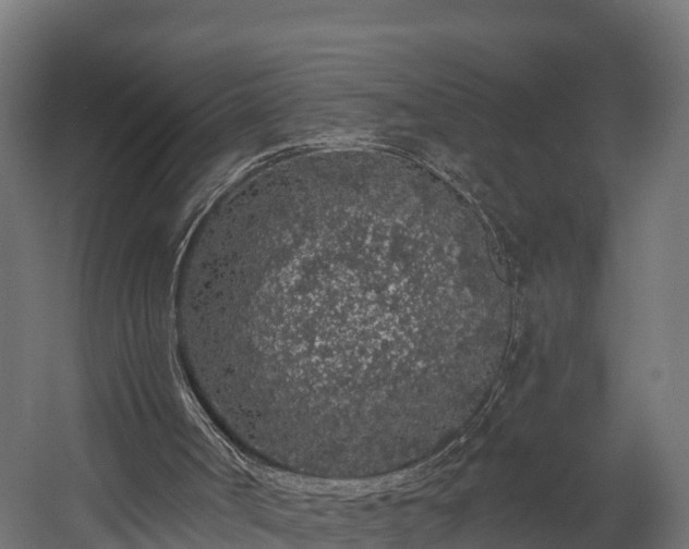 X0000058810002200510031359