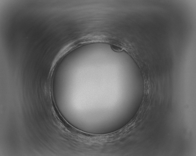 X0000058810004200510031359