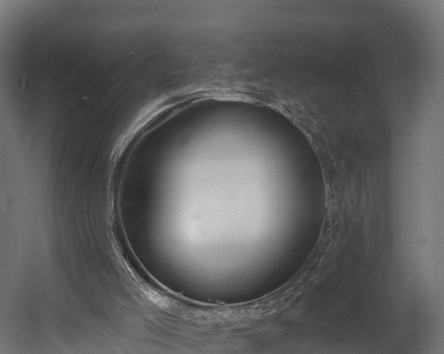 X0000058810005200510031359