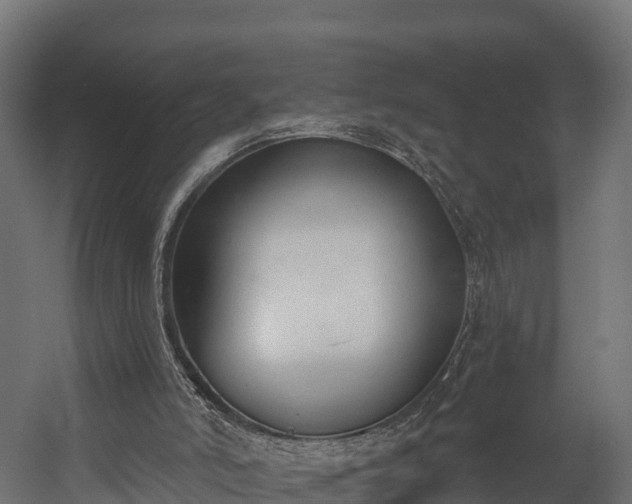 X0000058810006200510031359