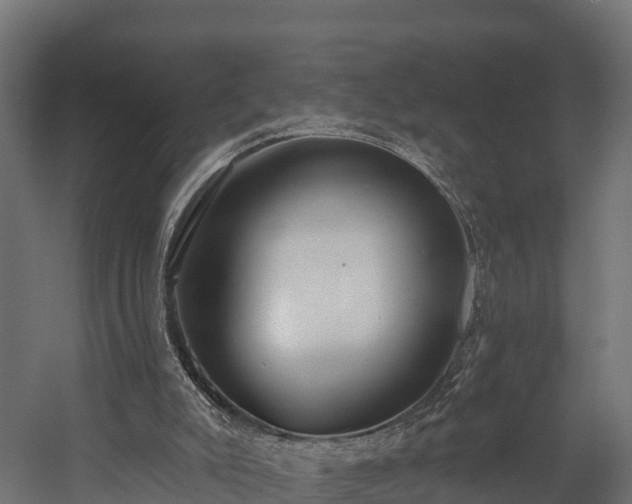 X0000058810007200510031359