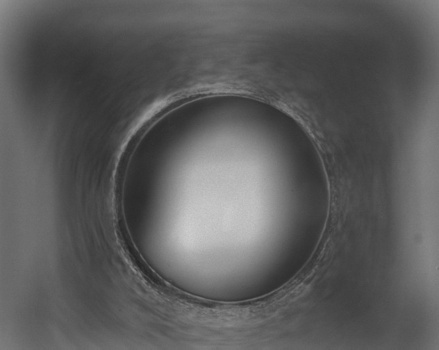 X0000058810008200510031359