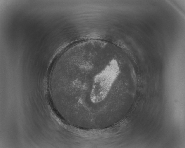 X0000058810012200510031359