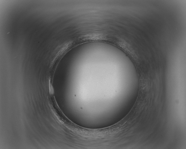 X0000058810014200510031359