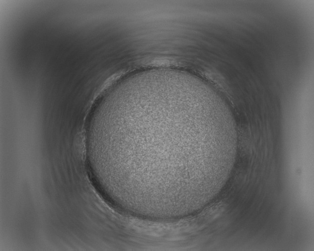 X0000058810016200510031359