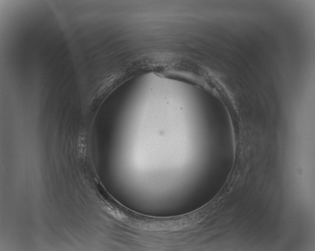 X0000058810017200510031359