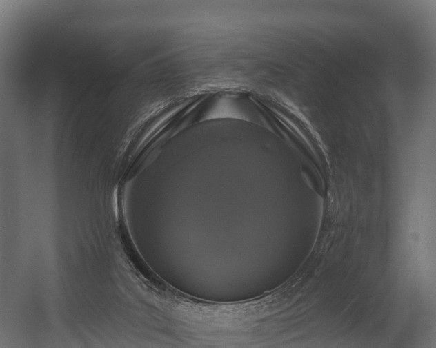 X0000058810019200510031359