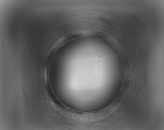 X0000058810024200510031359