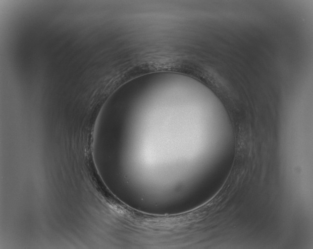 X0000058810025200510031359