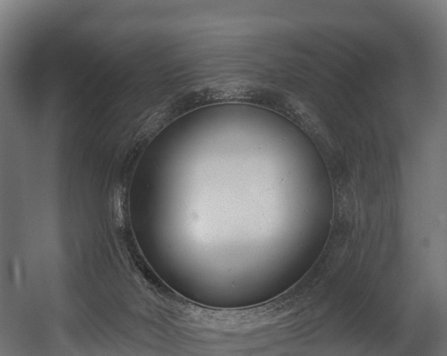 X0000058810026200510031359