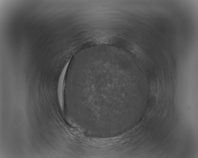 X0000058810029200510031359