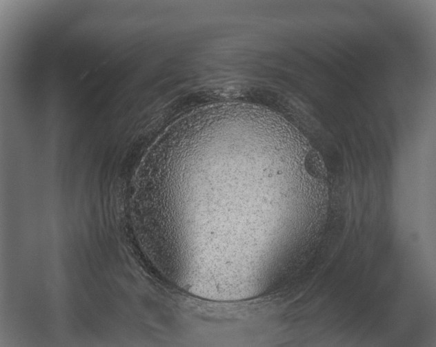 X0000058810030200510031359