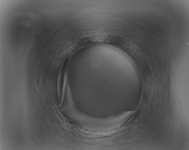 X0000058810031200510031359