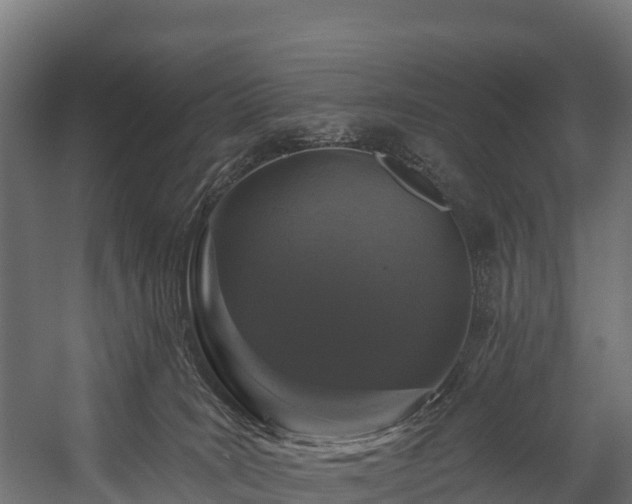 X0000058810035200510031359