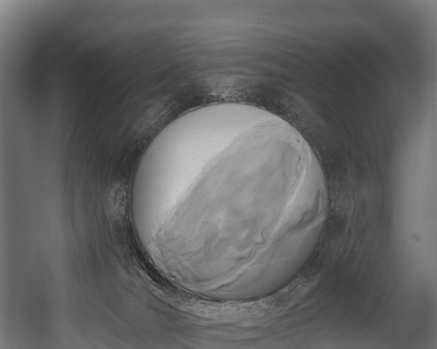 X0000058810036200510031359