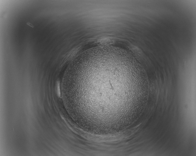 X0000058810046200510031358