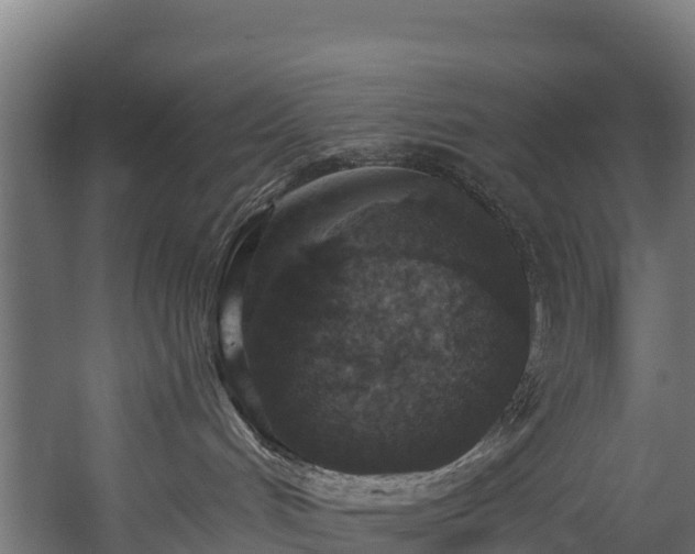 X0000058810048200510031358