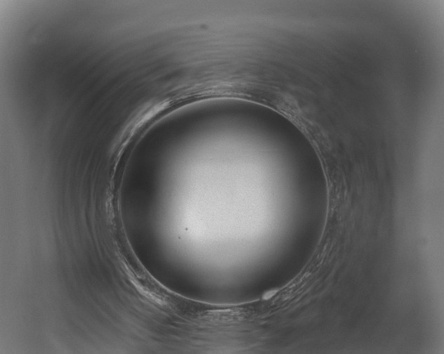 X0000058810050200510031358