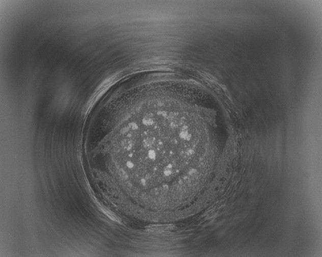 X0000058810051200510031358