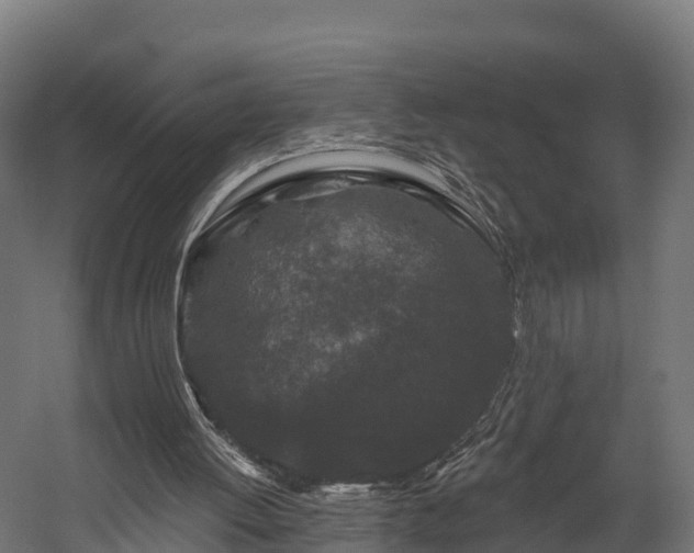 X0000058810052200510031358