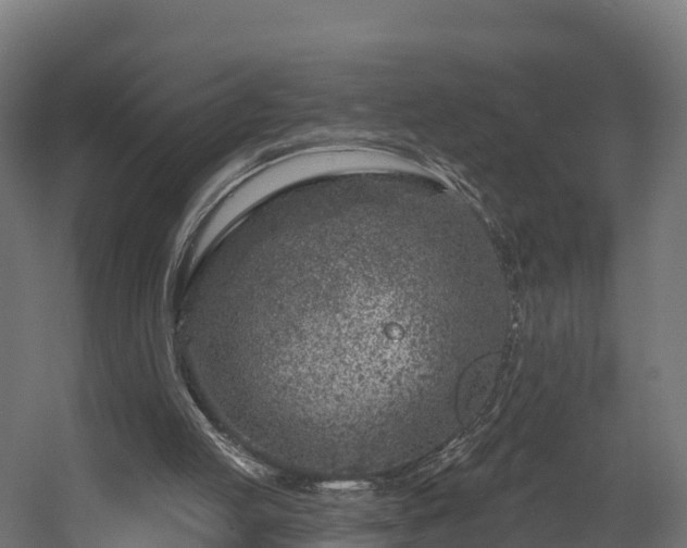 X0000058810053200510031358