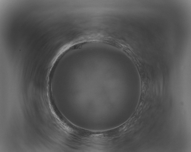 X0000058810054200510031358