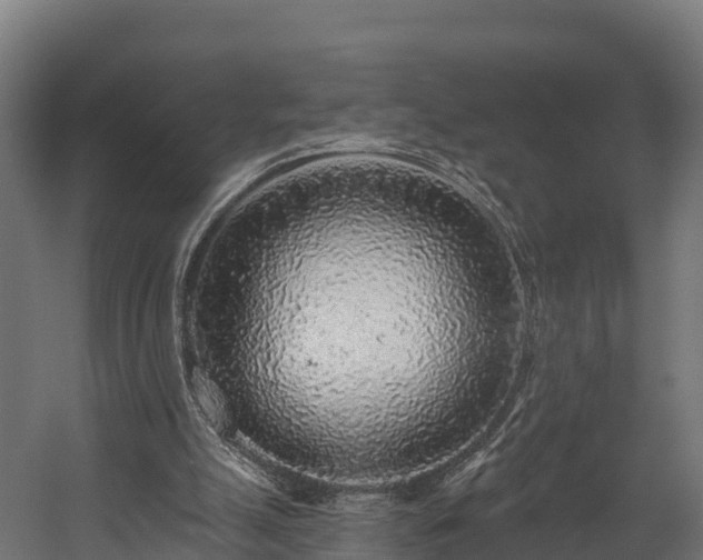 X0000058810055200510031358