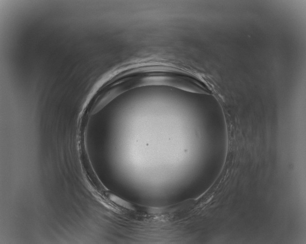 X0000058810056200510031358