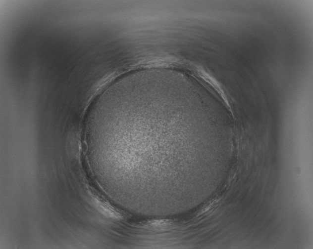 X0000058810059200510031358