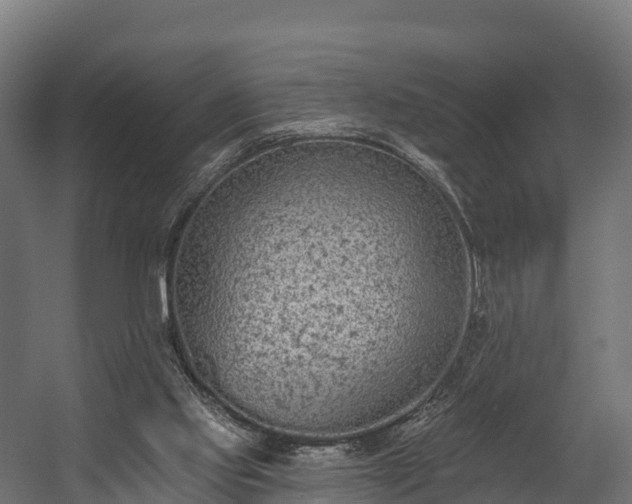 X0000058810061200510031358