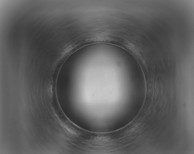 X0000058810063200510031358