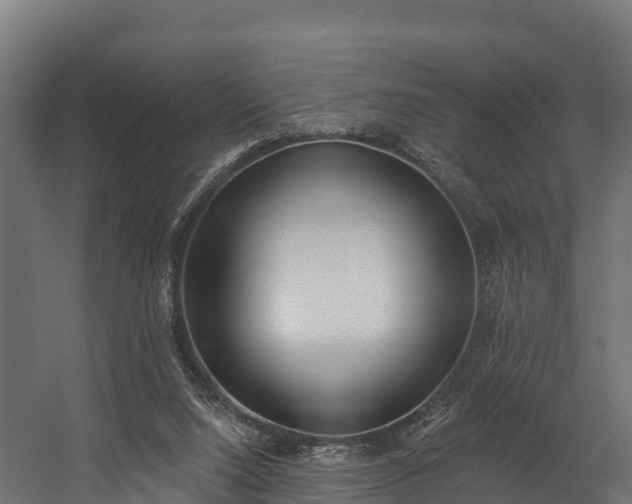 X0000058810064200510031358