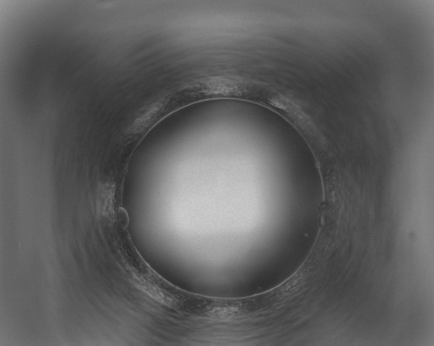 X0000058810066200510031358