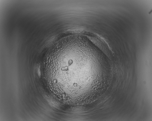 X0000058810069200510031358