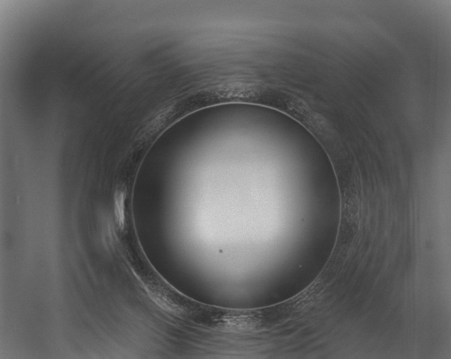 X0000058810070200510031358