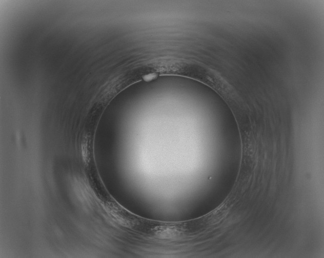 X0000058810074200510031358