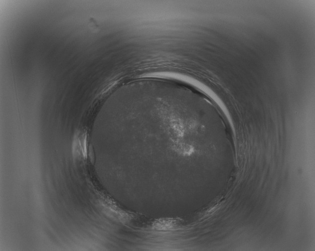 X0000058810076200510031358