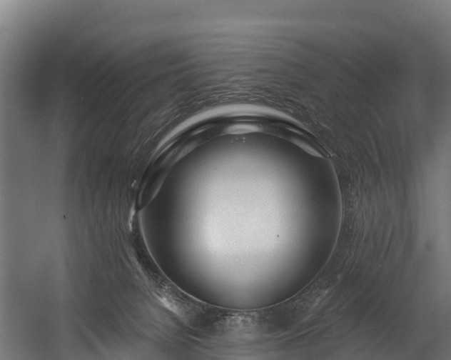 X0000058810080200510031358